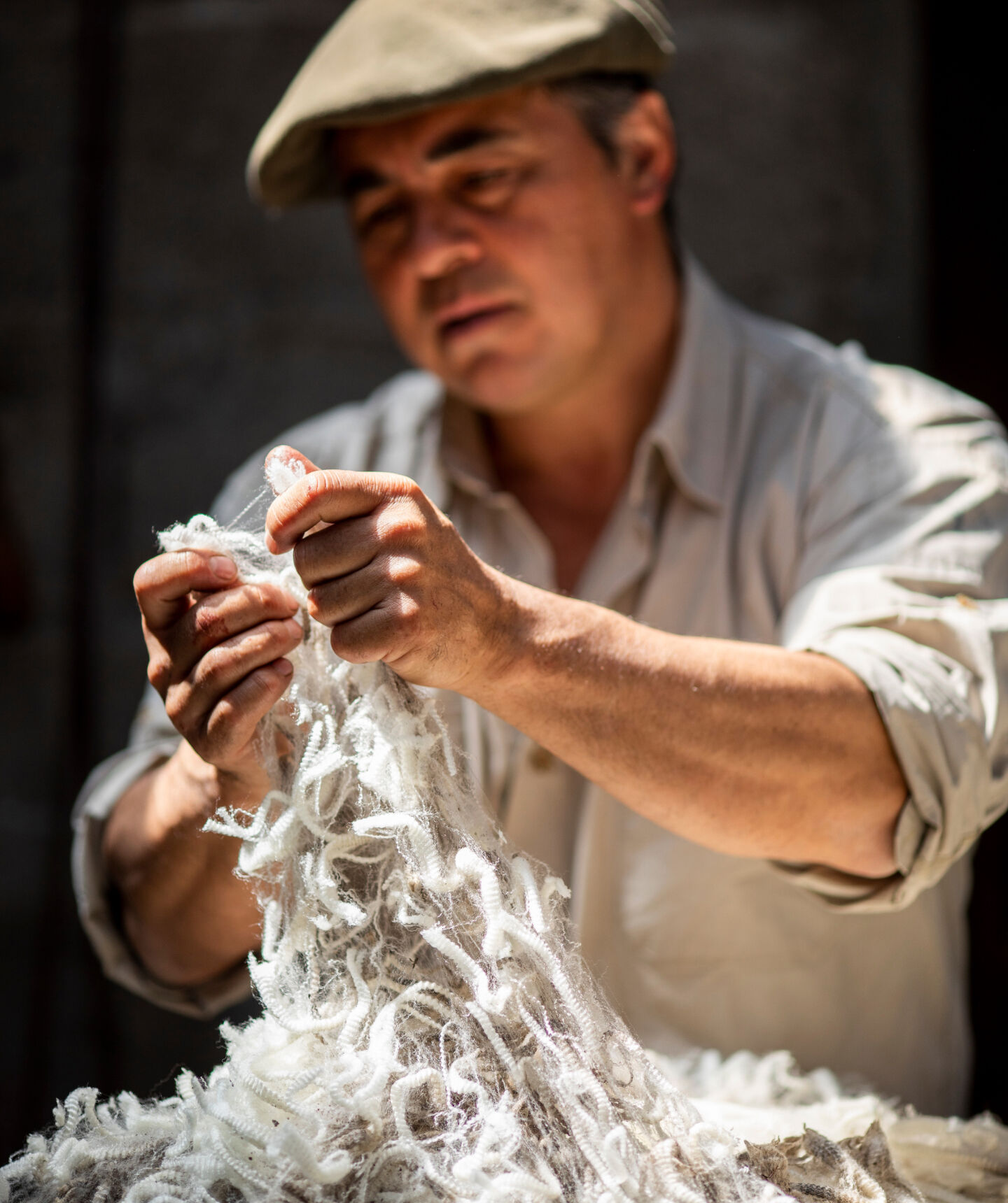 man holding fleece from sheep