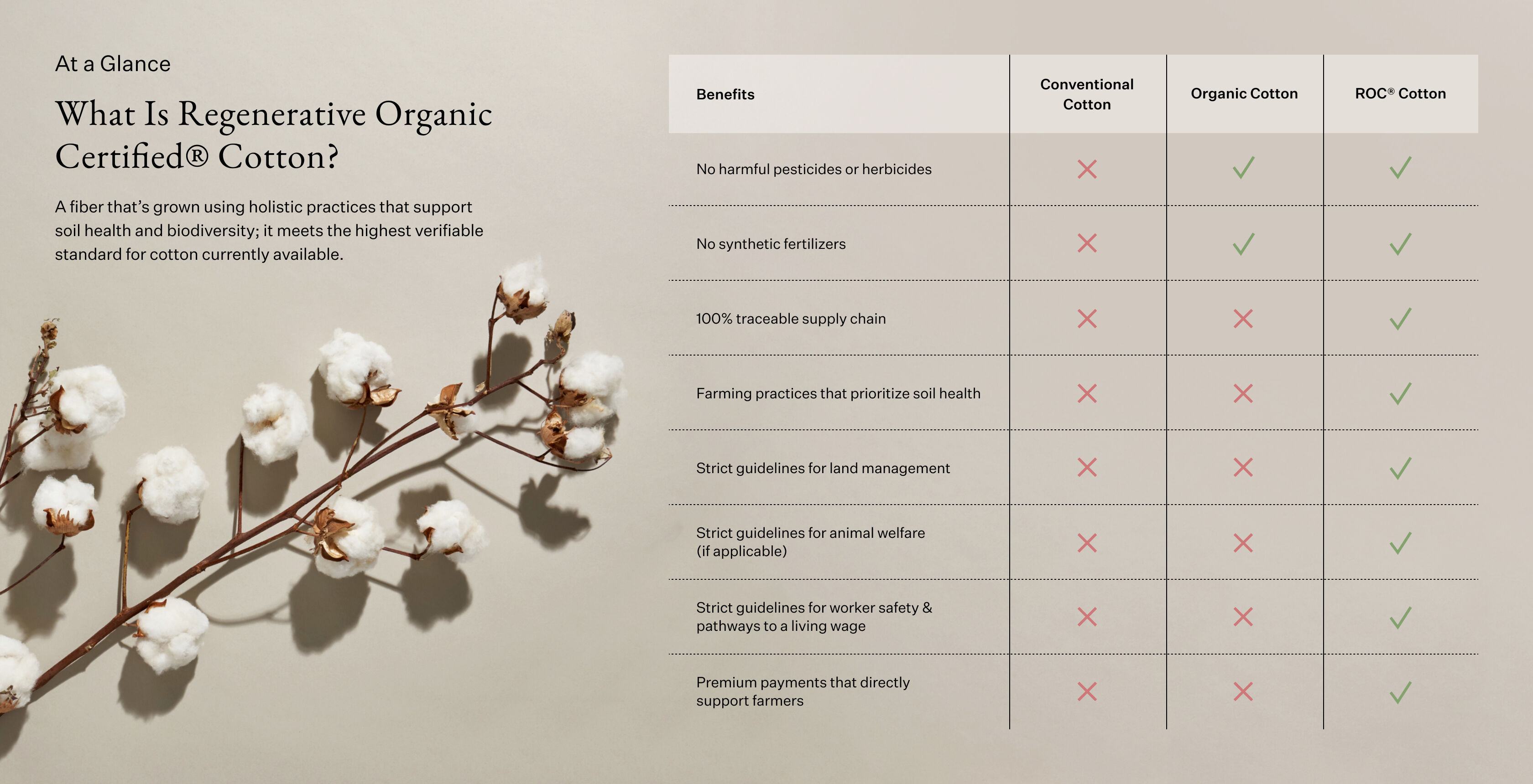 At a Glance: What Is Regenerative Organic Certified® Cotton?