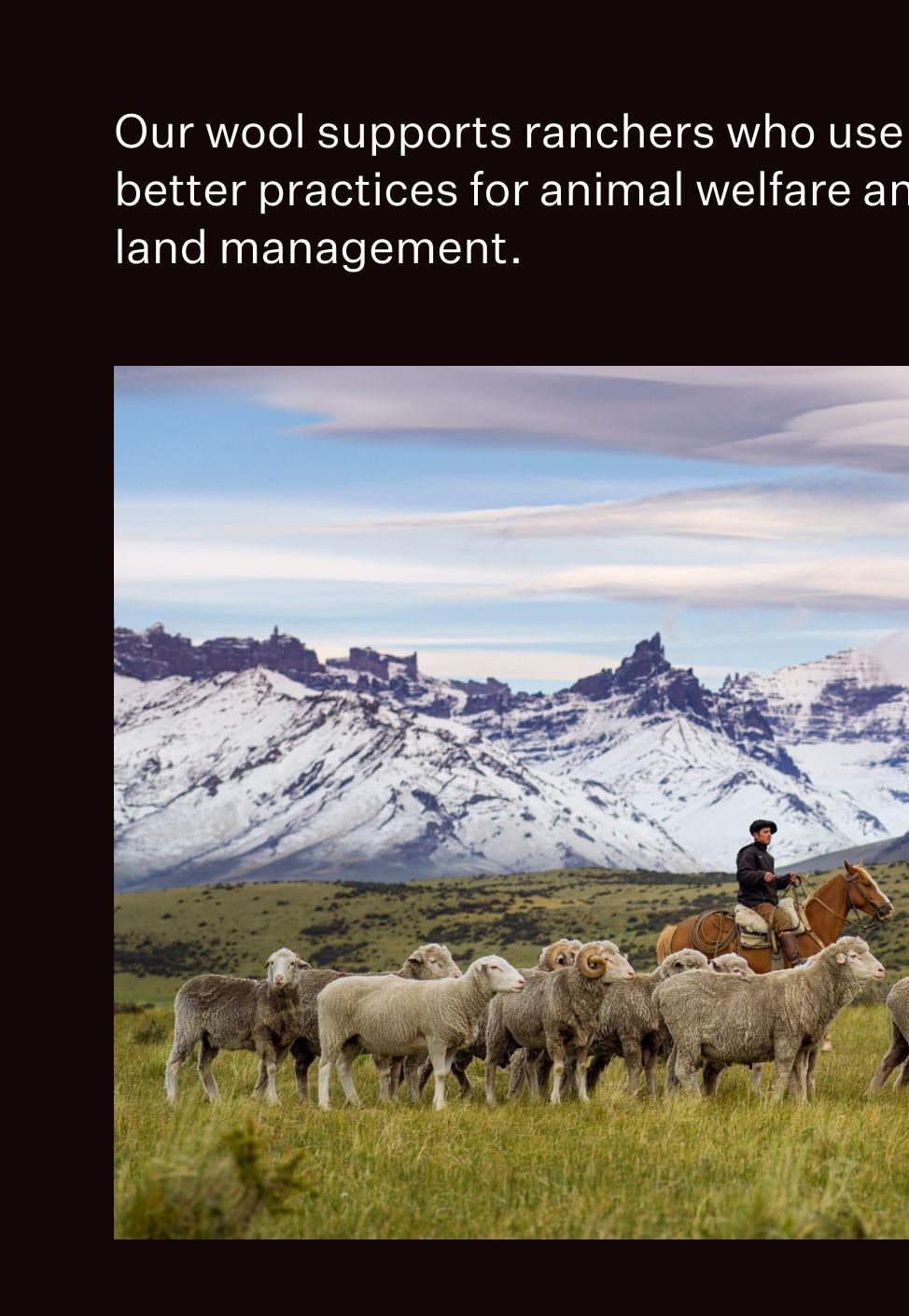Our wool supports ranchers who use better practices
