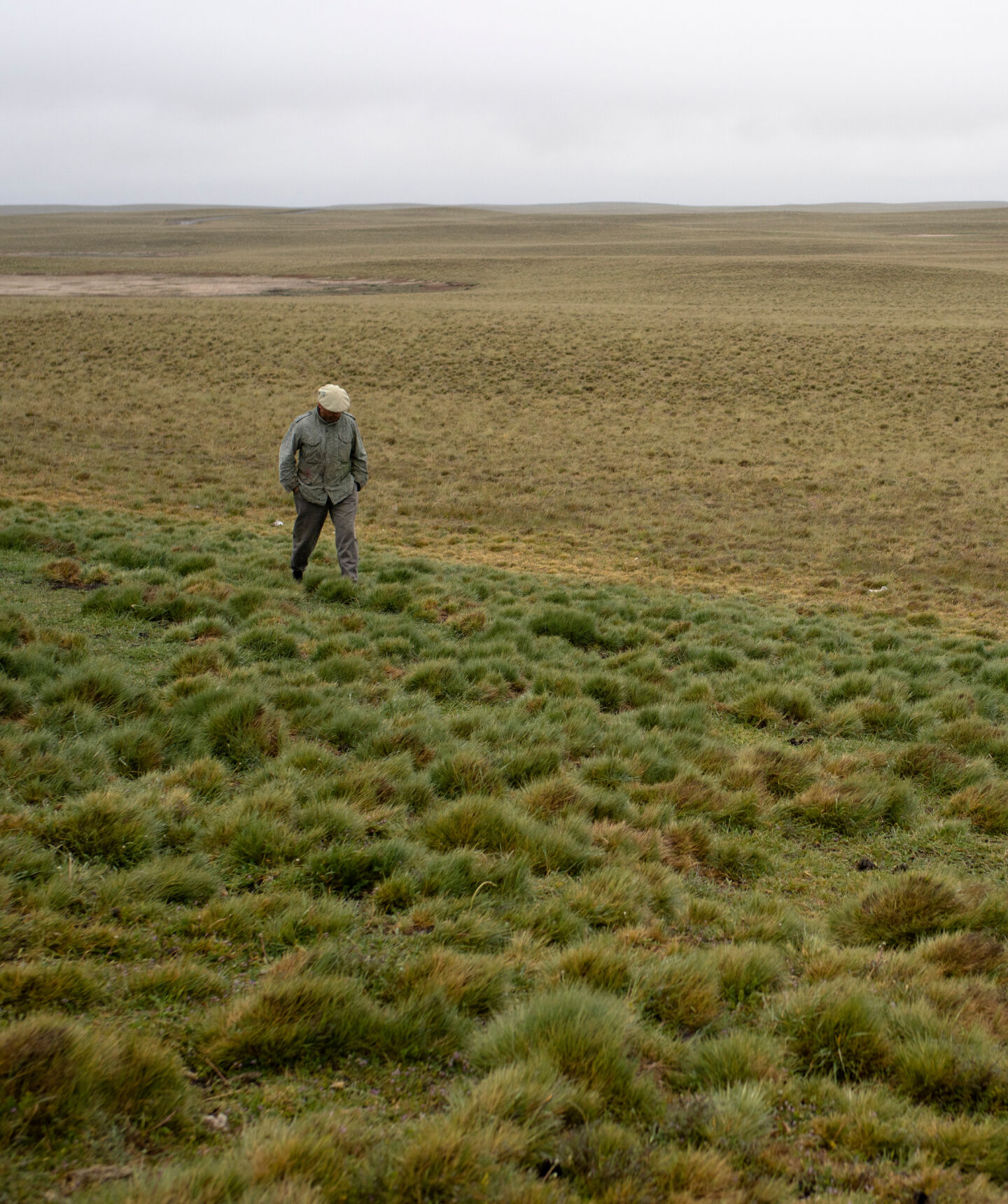 rancher walking on regenerated grasslands in Patagonia