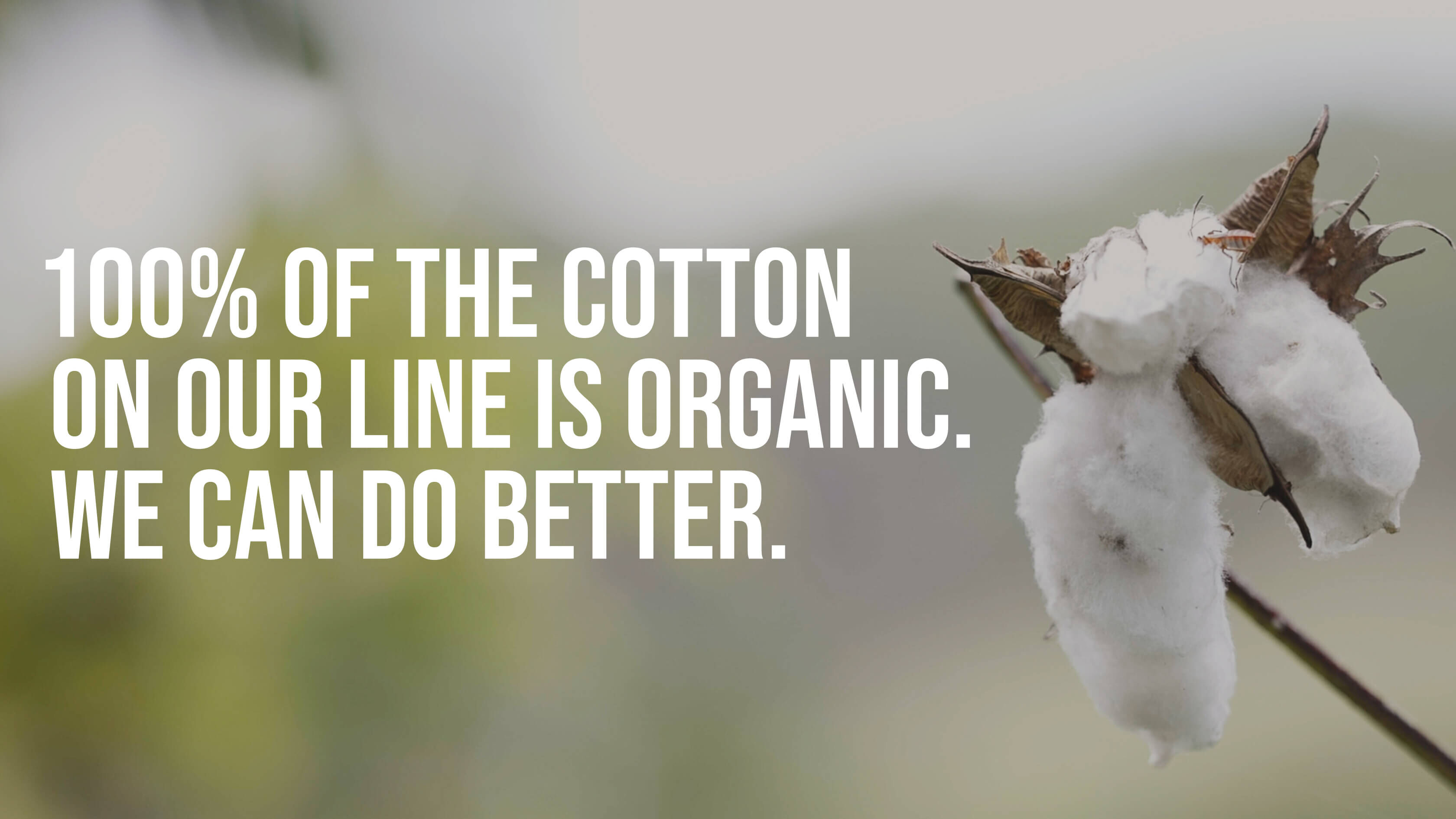 Organic Cotton Story