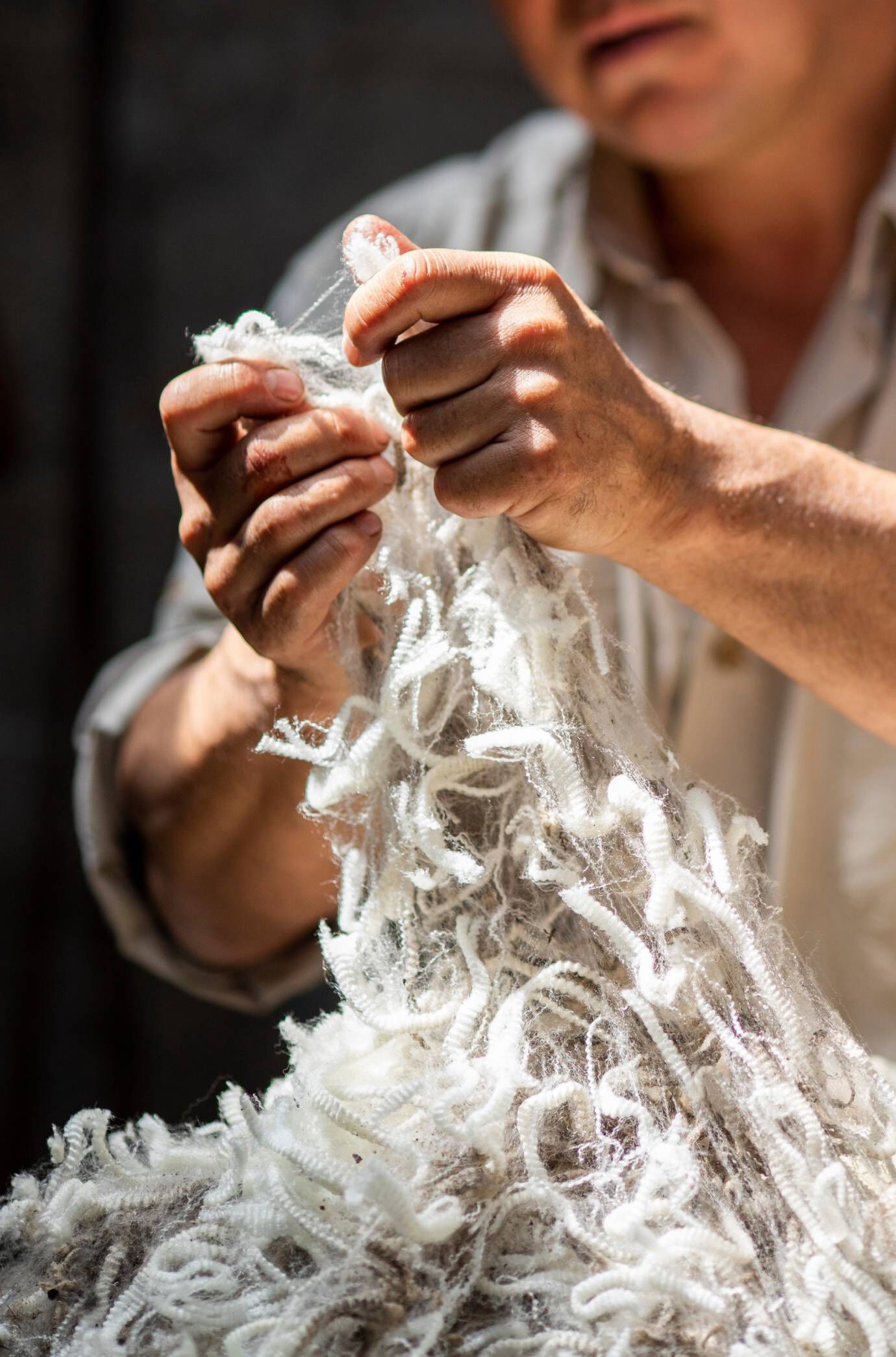 Wool That Fights Climate Change