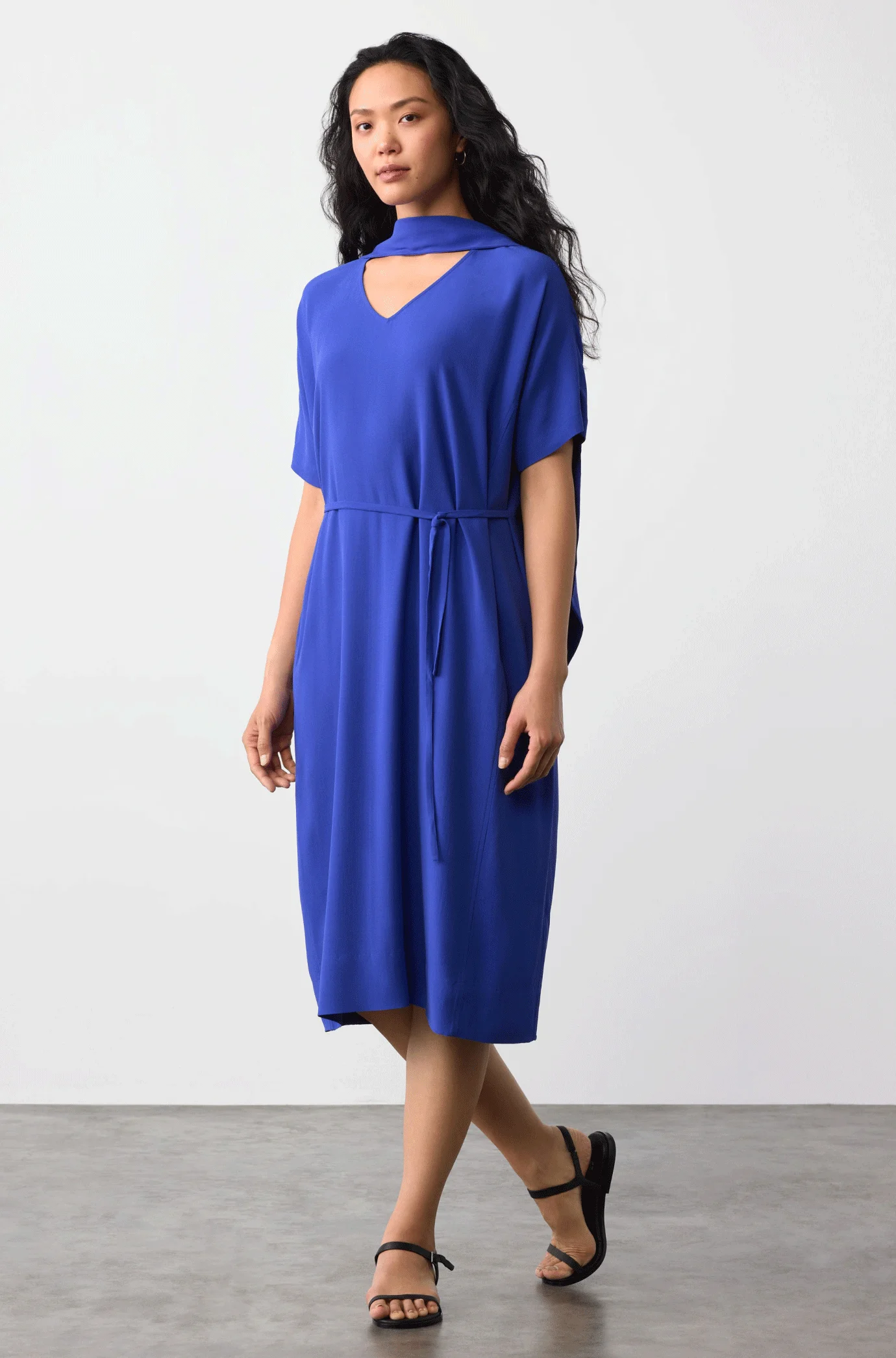 Silk Georgette Crepe V Neck Dress Silk Georgette Crepe V Neck Dress