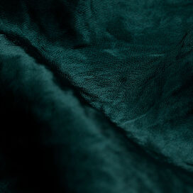 Kelp