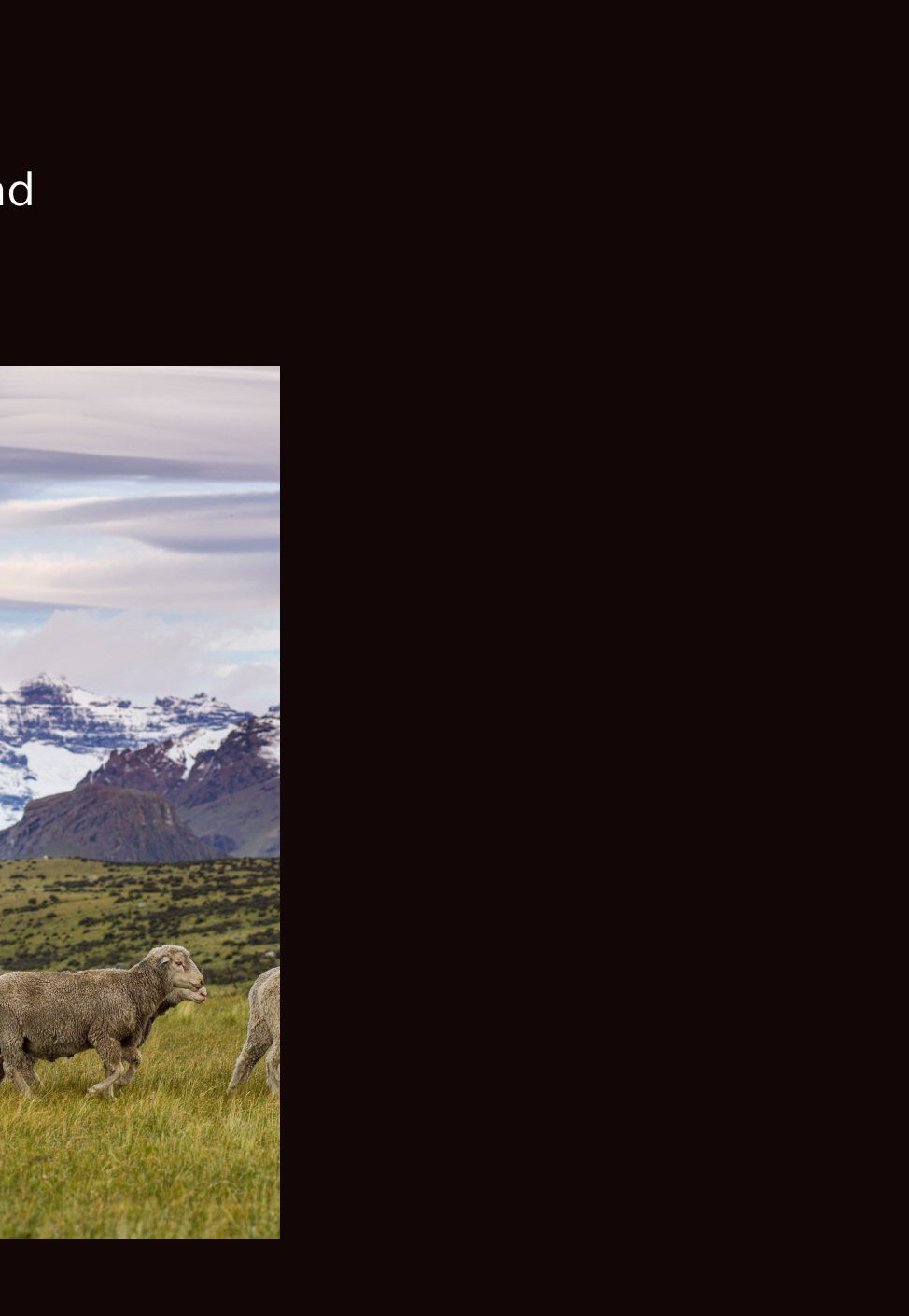 Our wool supports ranchers who use better practices