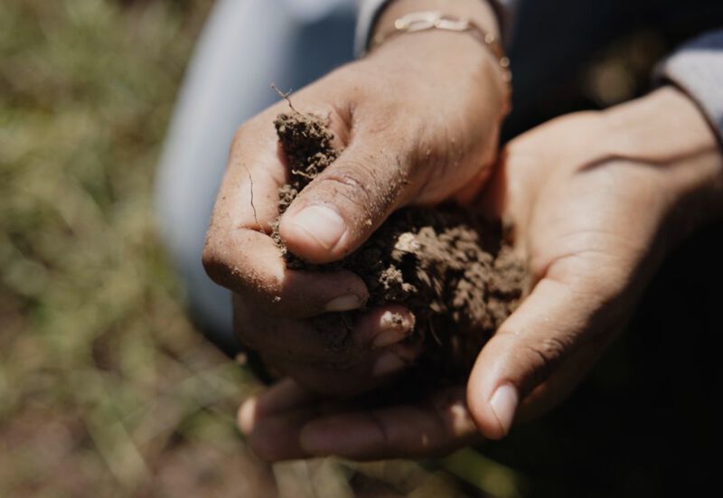 Hands holding soil at a regenerative farm.