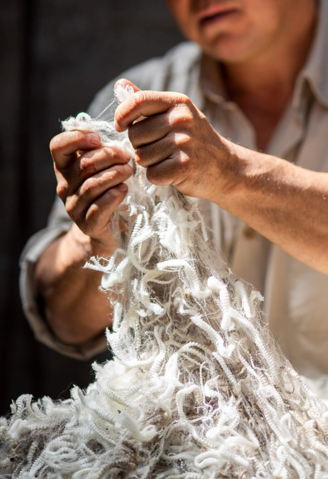 Wool That Fights Climate Change