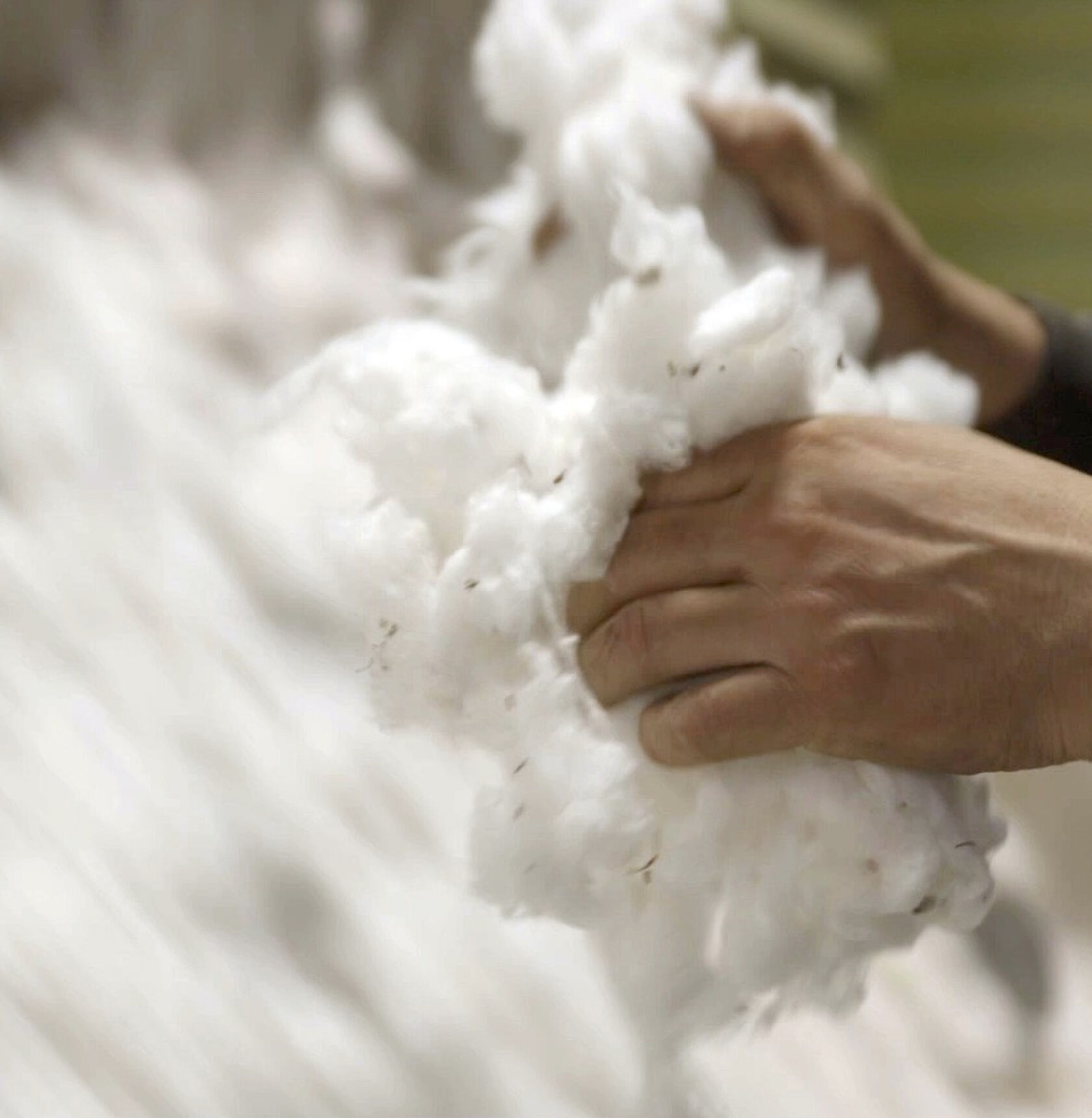 How Organic Cotton French Terry Is Made