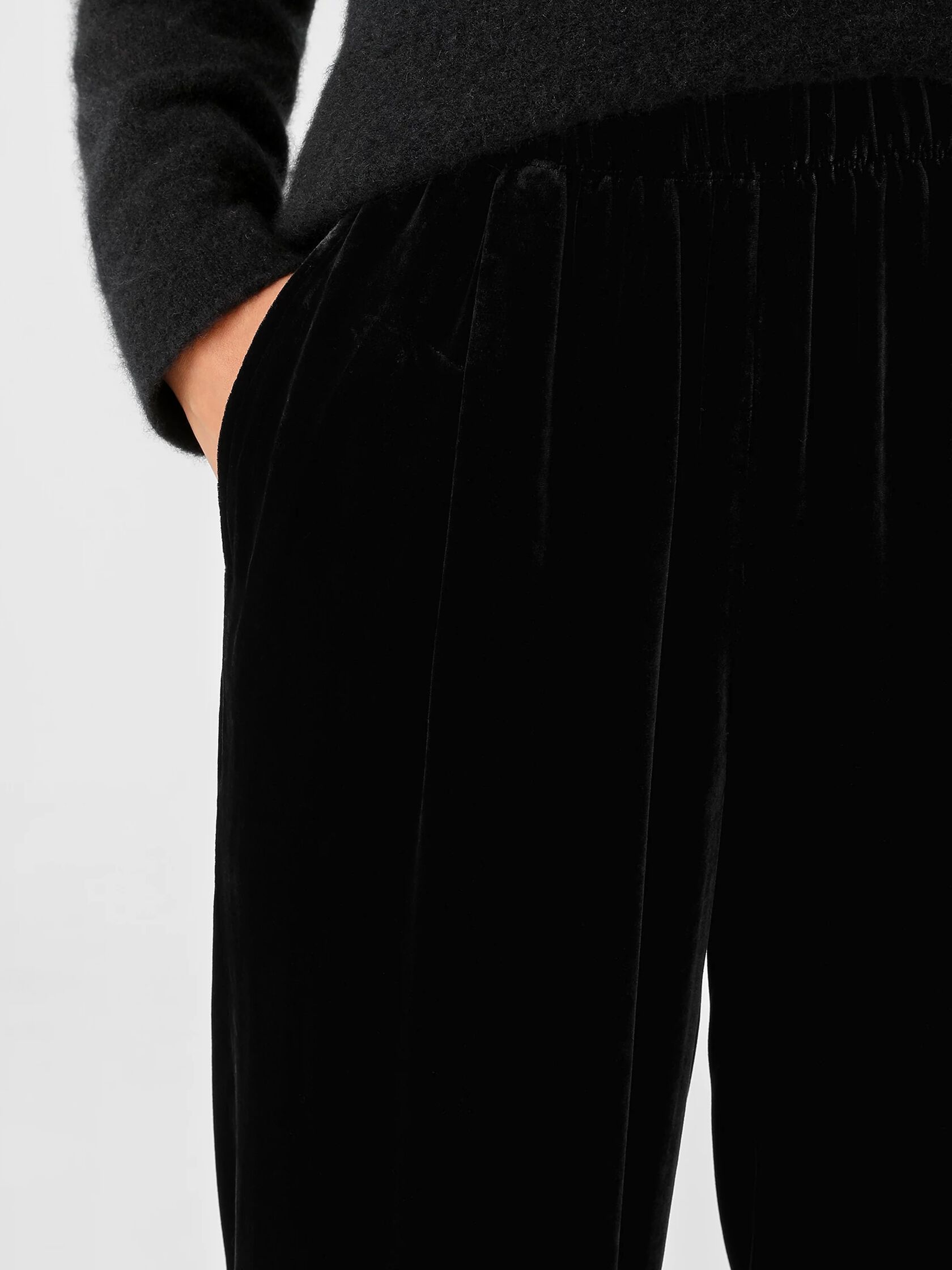 Velvet Pleated Tapered Pant