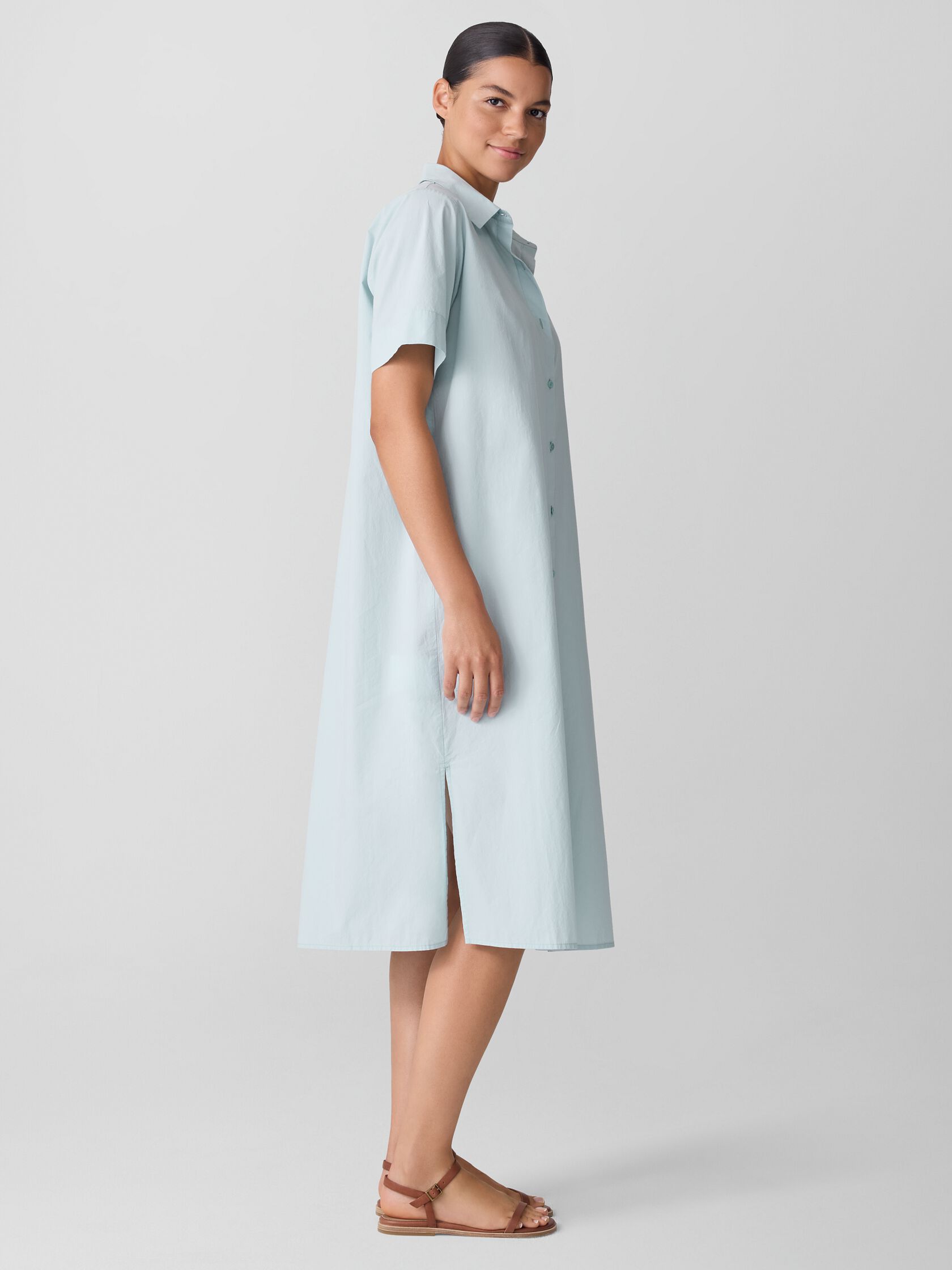 Washed Organic Cotton Poplin Classic Collar Shirtdress