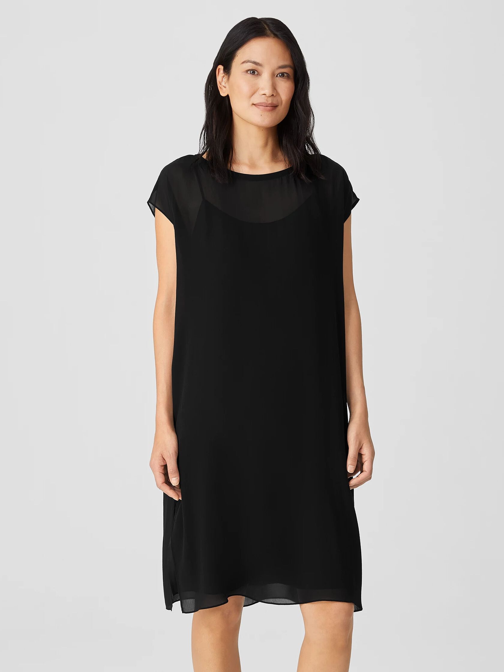 Sheer Silk Georgette Layered Dress