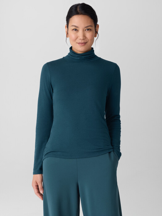 Sheer Cotton Blend Knit Turtleneck Top