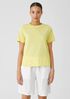 Organic Pima Cotton Jersey Round Neck Tee