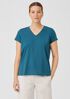 Organic Pima Cotton Jersey V-Neck Tee