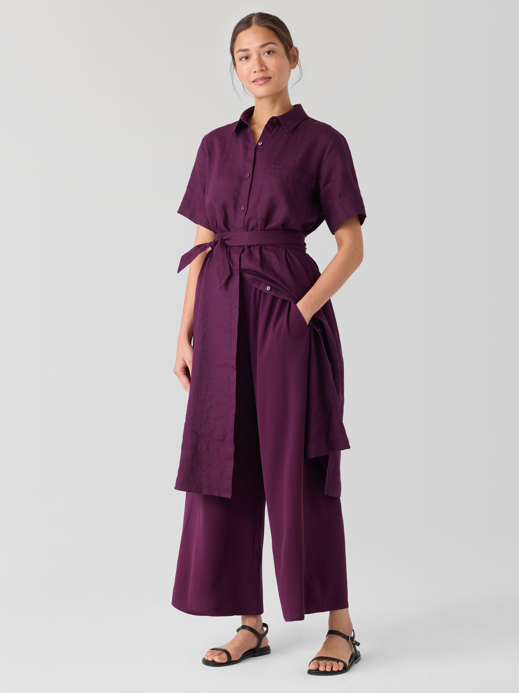 Organic Linen Classic Collar Shirtdress