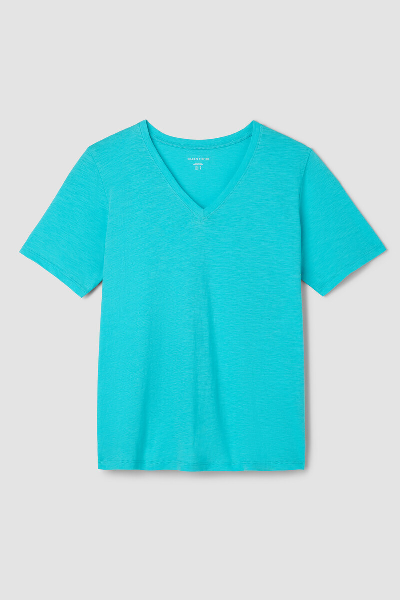 Organic Cotton Slubby Jersey V-Neck Tee Organic Cotton Slubby Jersey V-Neck Tee