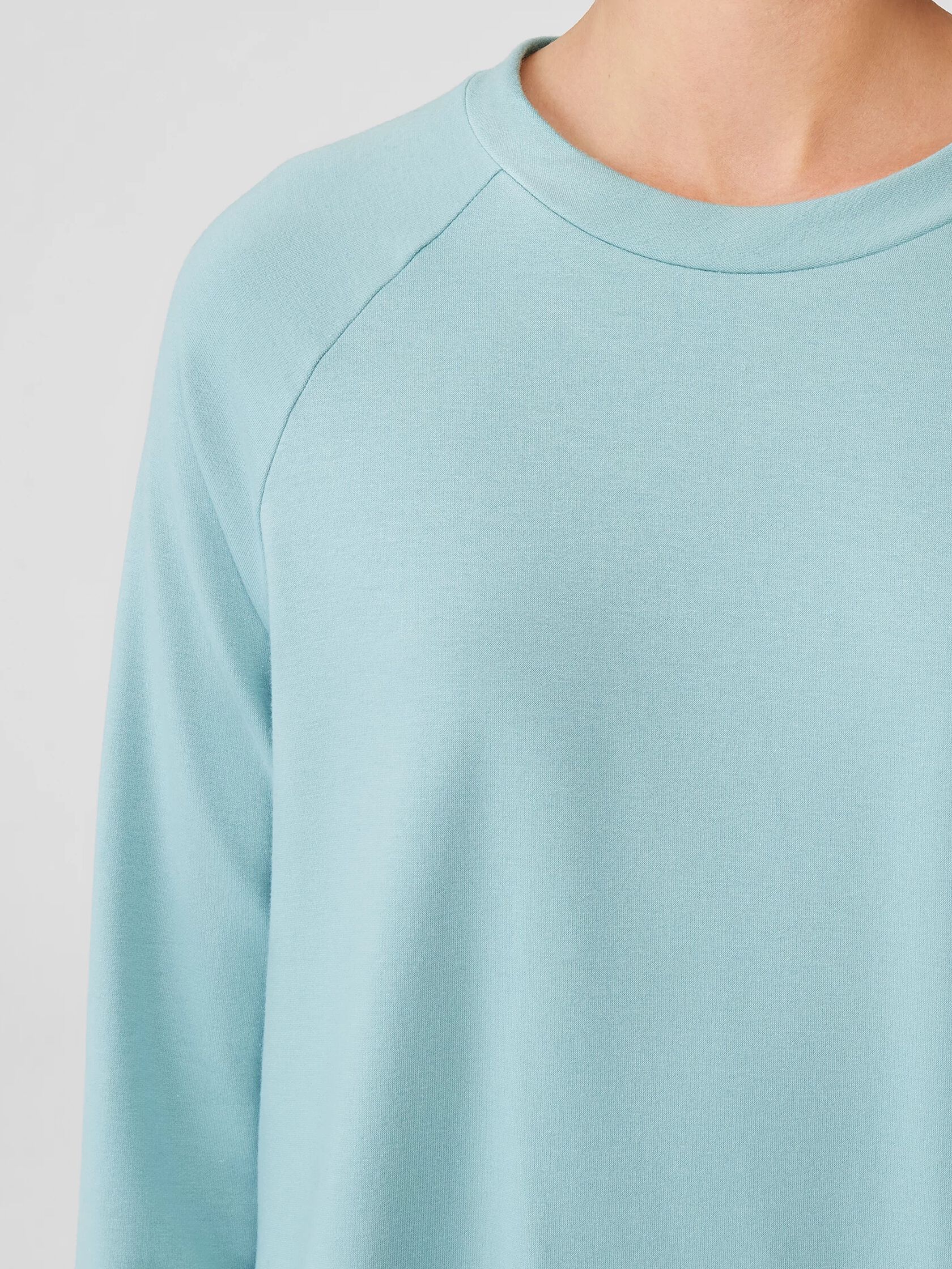 Cozy Brushed Terry Hug Raglan-Sleeve Top