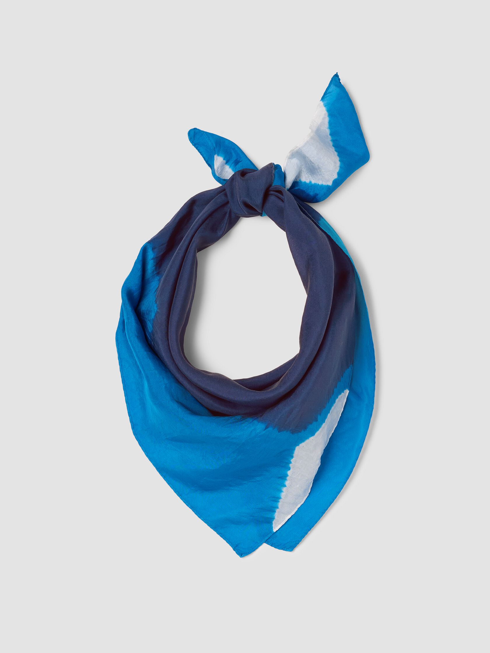 Silk Pinwheel Bandana