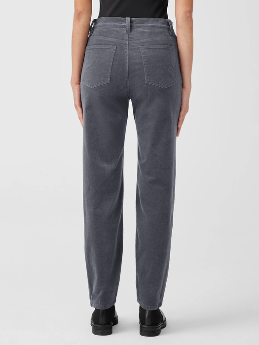 Organic Cotton Stretch Velveteen Pant