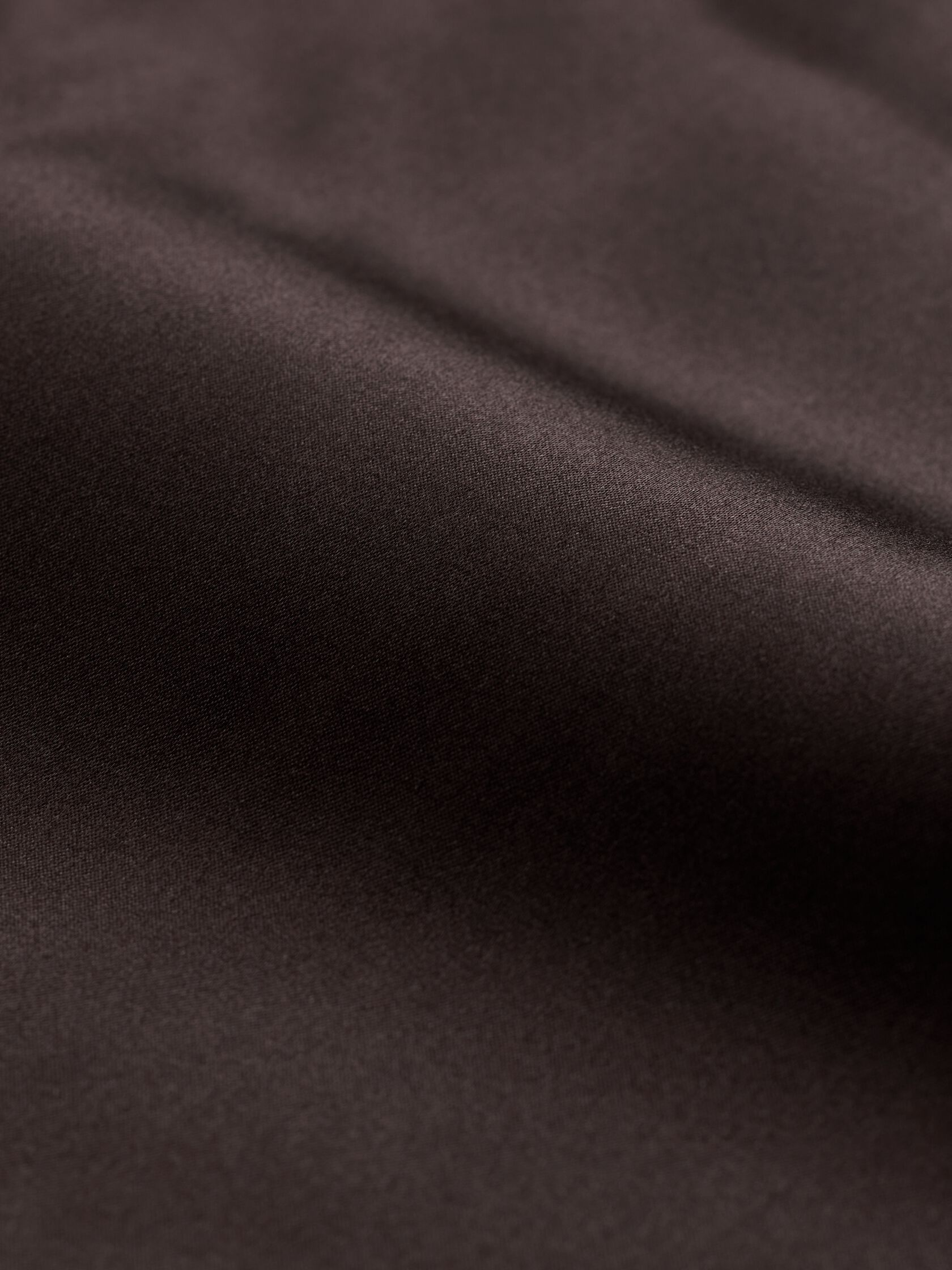 Stretch Silk Charmeuse Classic Collar Shirt