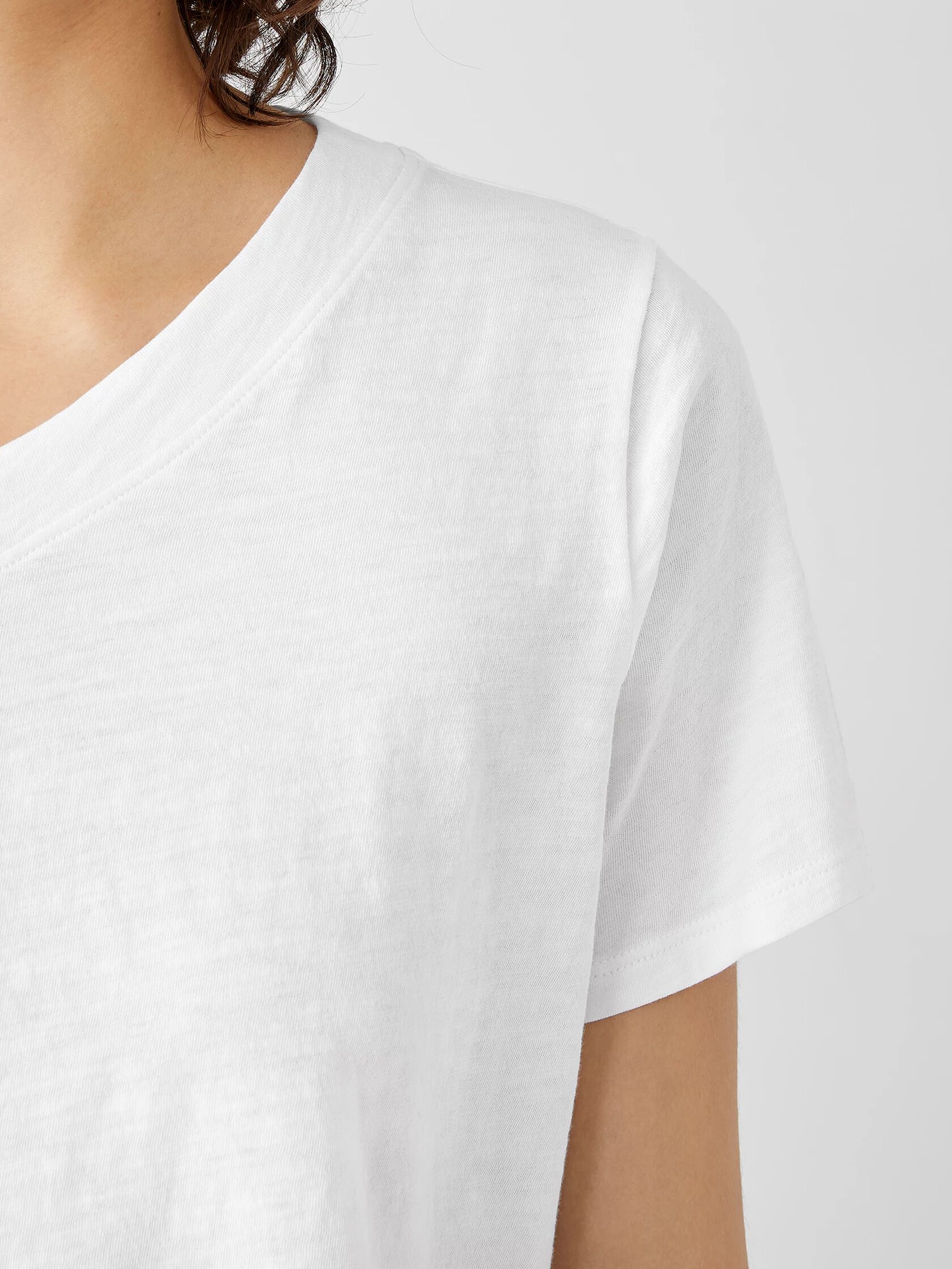 Organic Cotton Slub V-Neck Tee