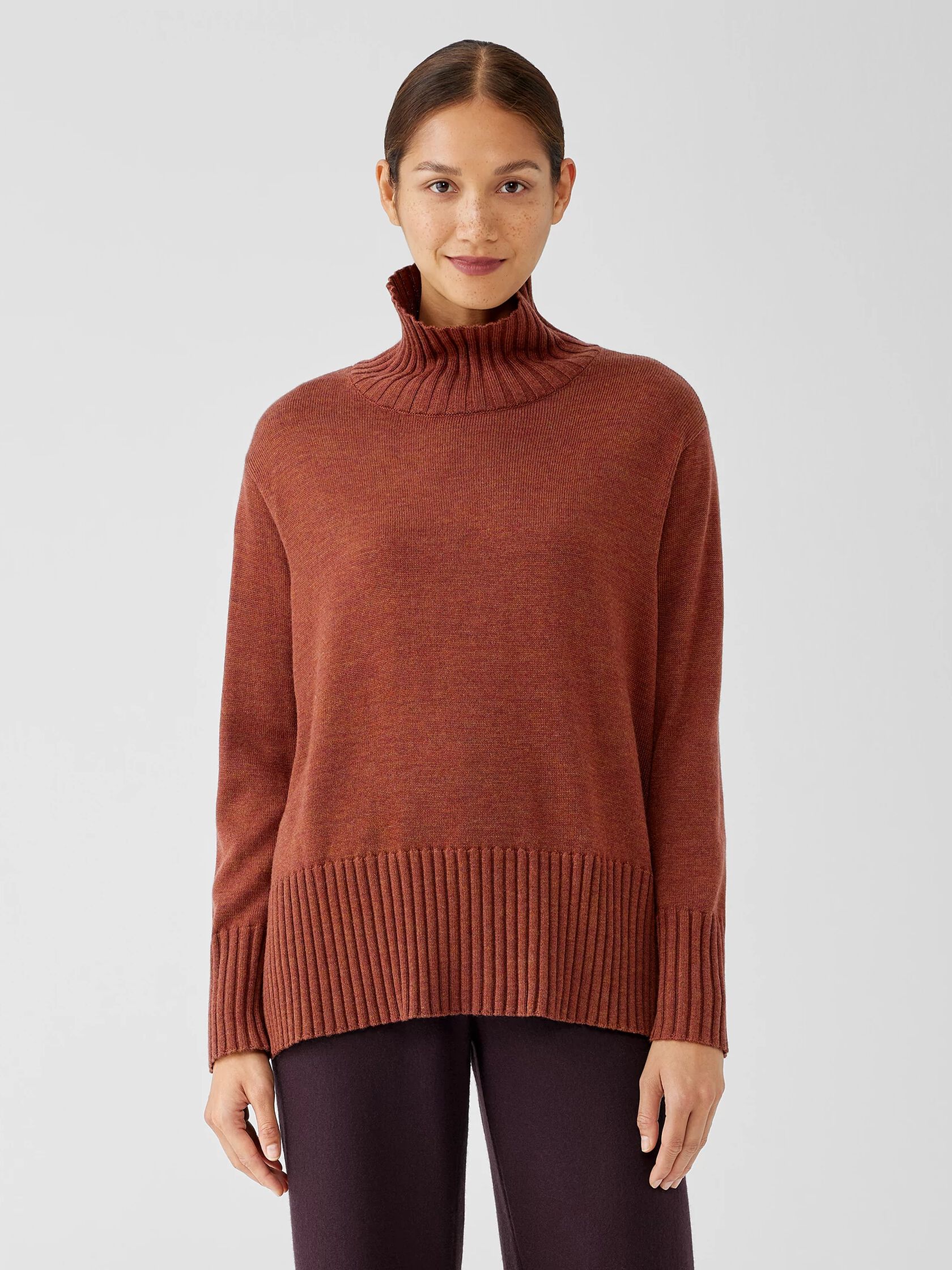 Merino Jersey Turtleneck in Regenerative Wool