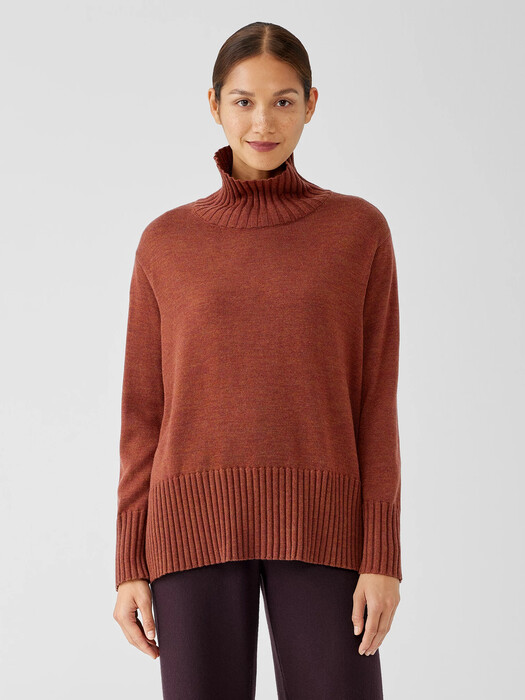 Merino Jersey Turtleneck in Regenerative Wool