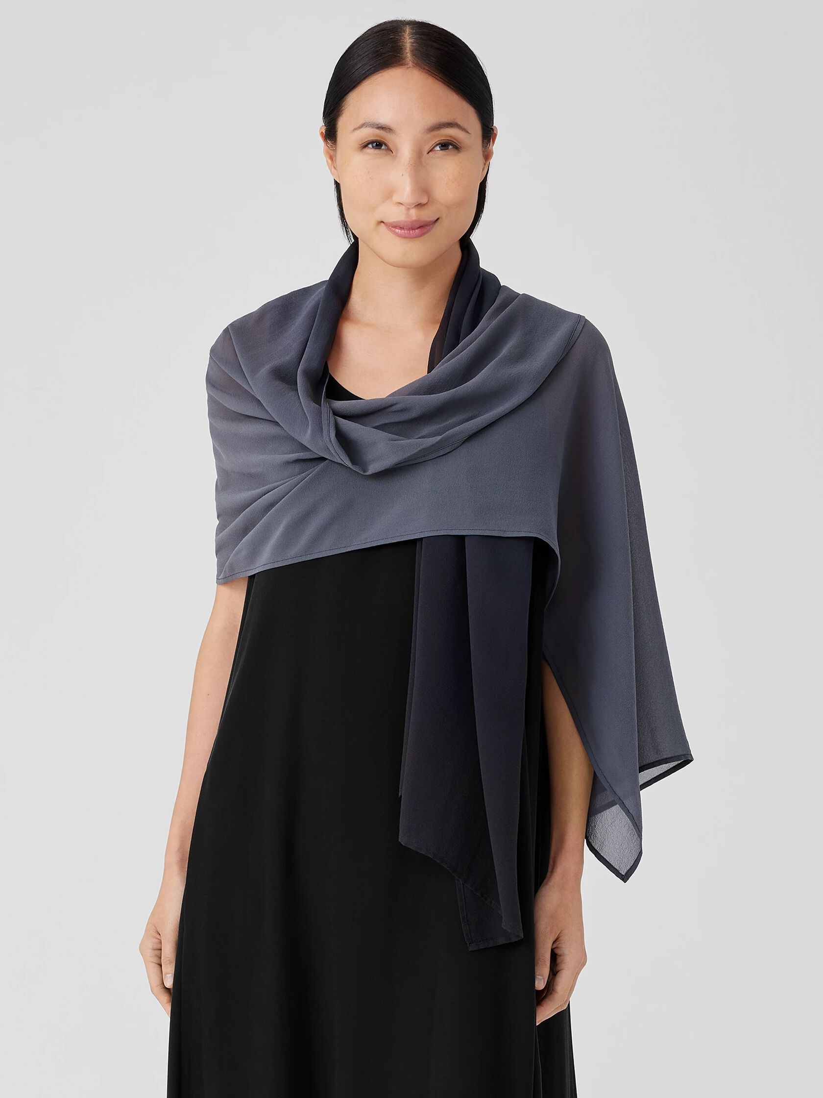 Ombré Sheer Silk Georgette Scarf