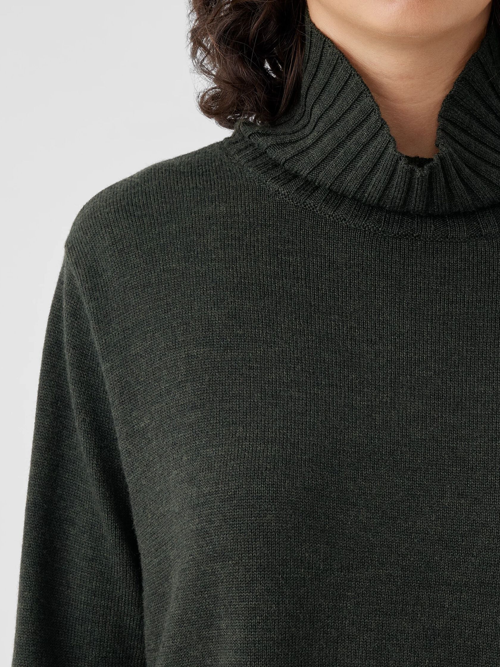 Merino Jersey Turtleneck in Regenerative Wool