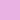 BRIGHT ASTER