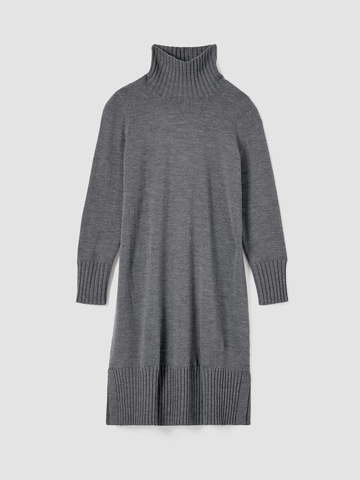 Merino Jersey Turtleneck Dress in Regenerative Wool