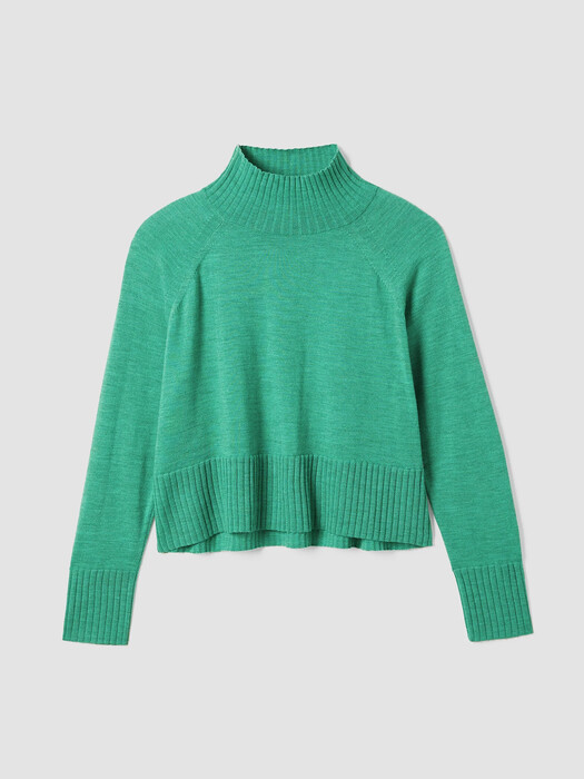 Merino Jersey Turtleneck Top in Regenerative Wool