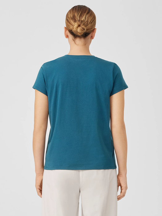 Organic Pima Cotton Jersey V-Neck Tee