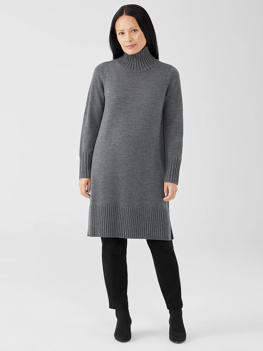 Merino Jersey Turtleneck Dress in Regenerative Wool