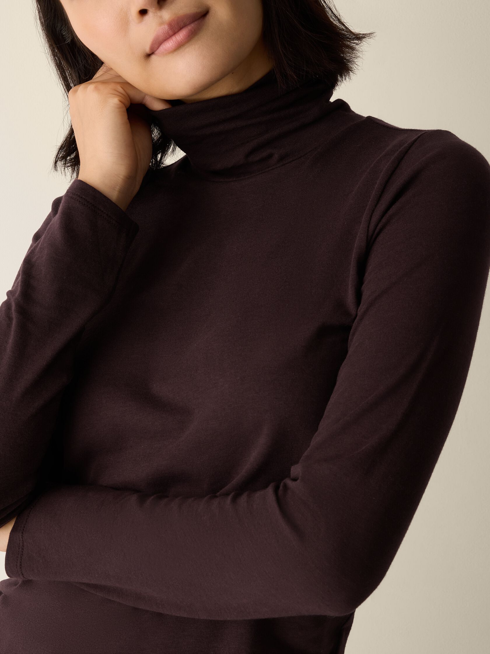 Sheer Cotton Blend Knit Turtleneck Top