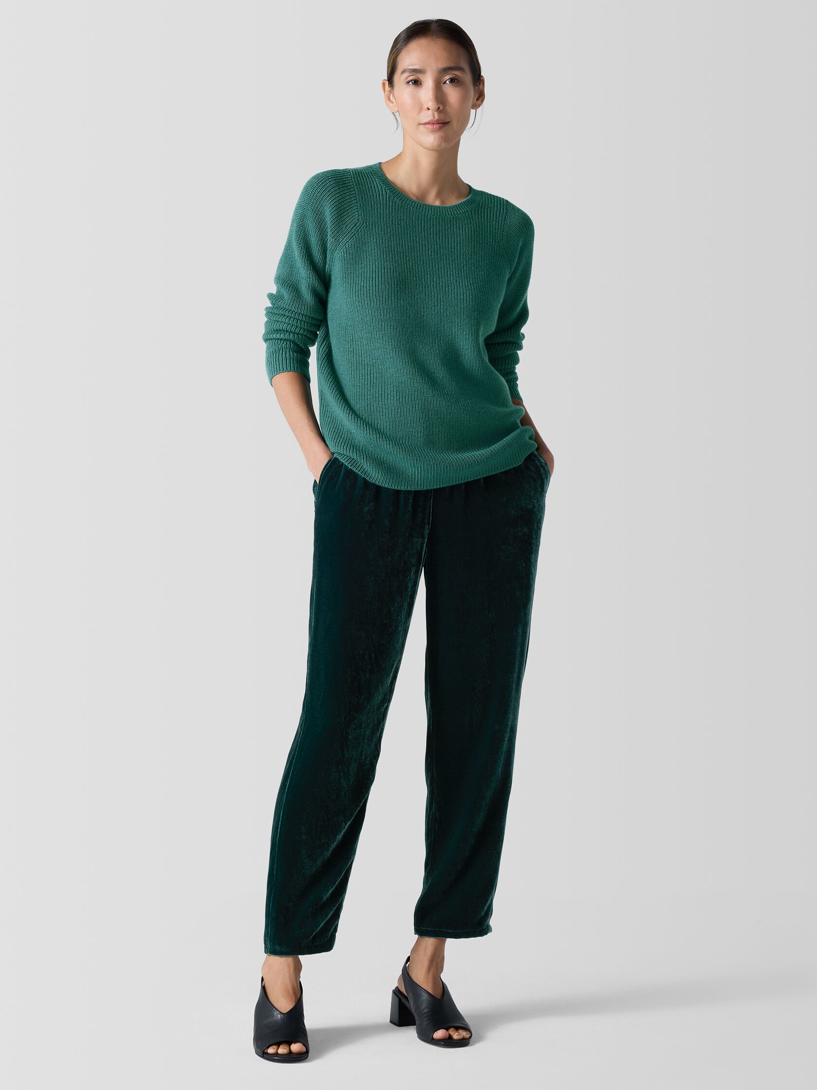 Velvet Tapered Pant
