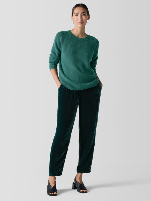 Velvet Tapered Pant