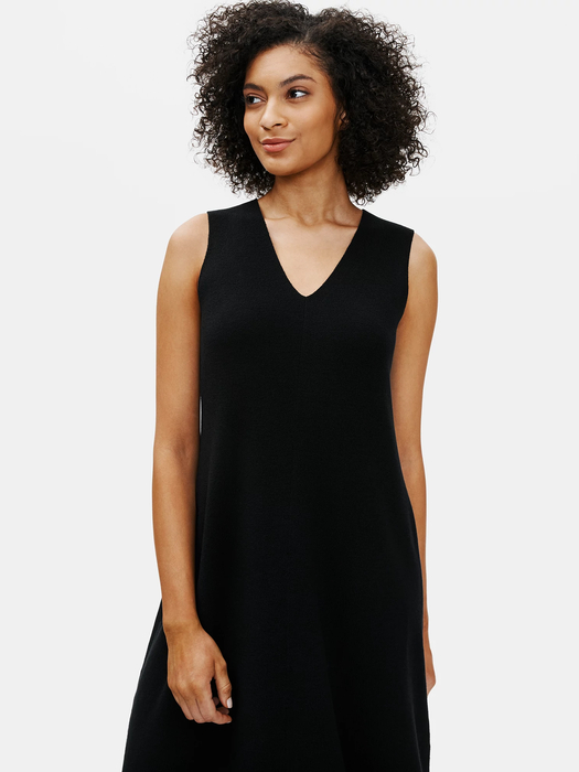 Luxe Merino Stretch Dress in Responsible Wool