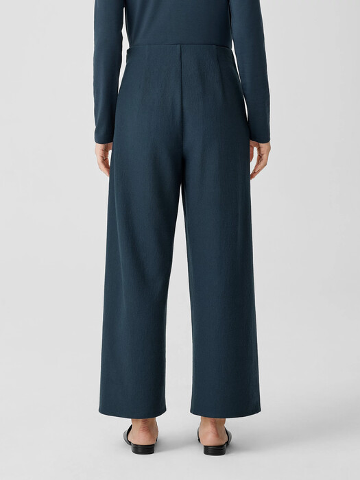 Boiled Wool Jersey Wide-Leg Pant