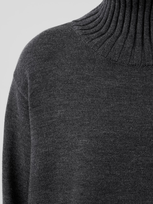 Merino Jersey Turtleneck in Regenerative Wool