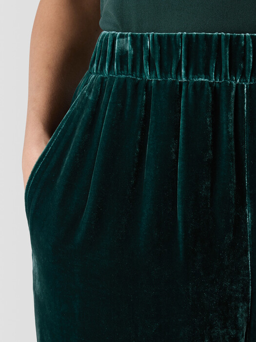 Velvet Tapered Pant
