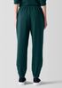 Cozy Brushed Terry Hug Jogger Pant