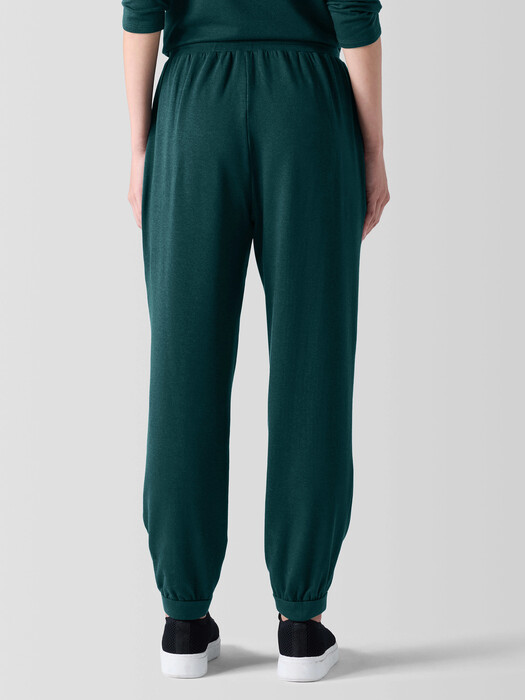 Cozy Brushed Terry Hug Jogger Pant