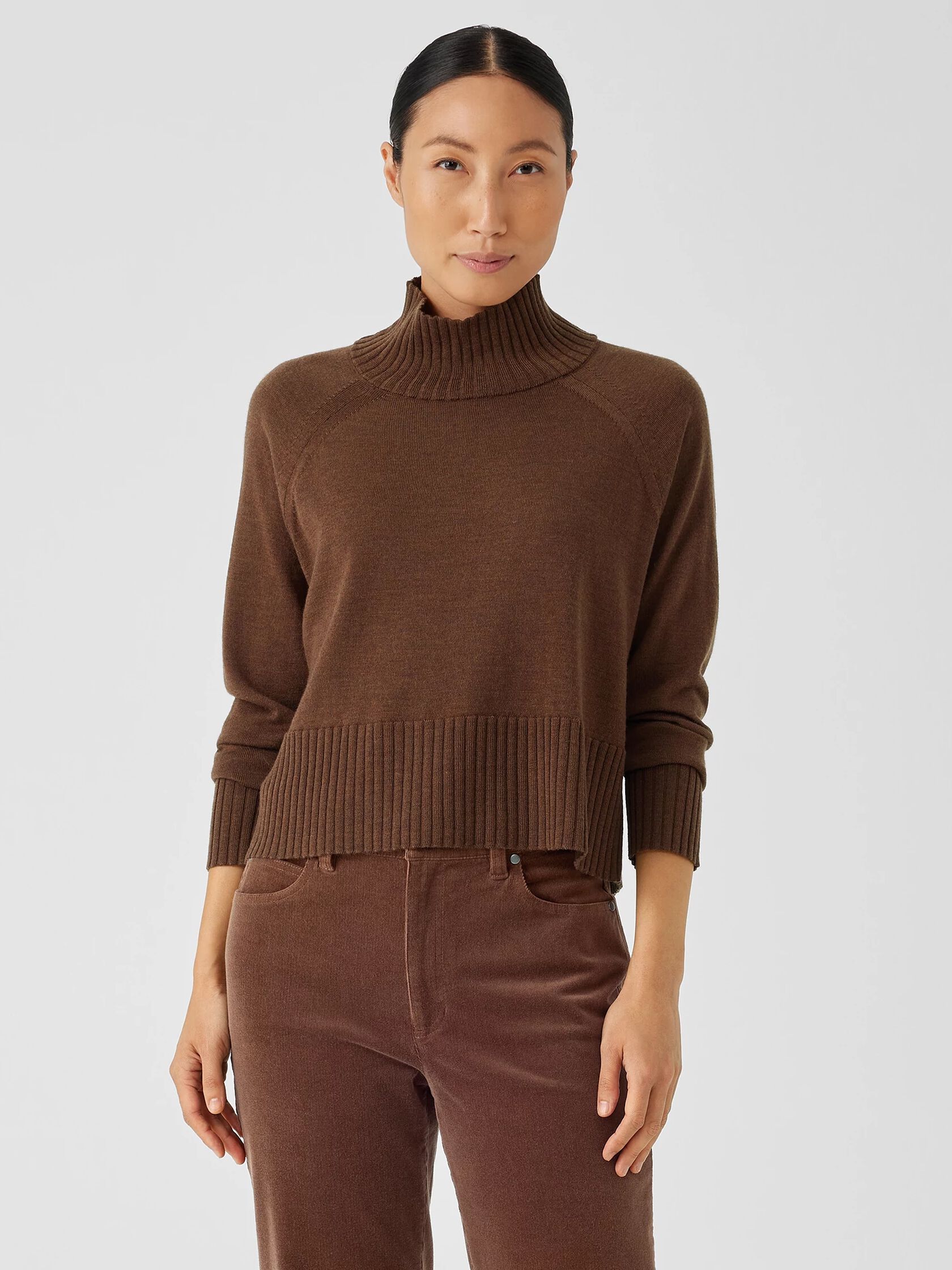 Merino Jersey Turtleneck Top in Regenerative Wool