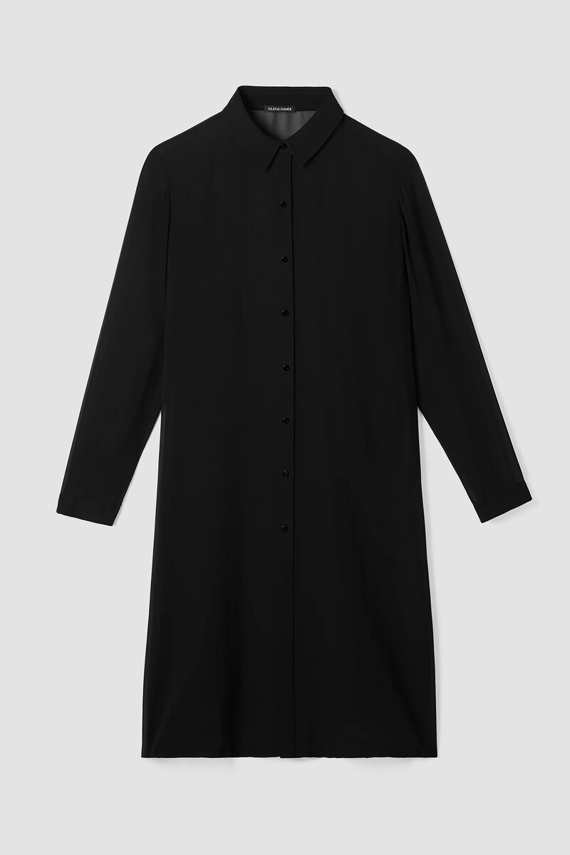 Sheer Silk Georgette Classic Collar Long Shirt Sheer Silk Georgette Classic Collar Long Shirt
