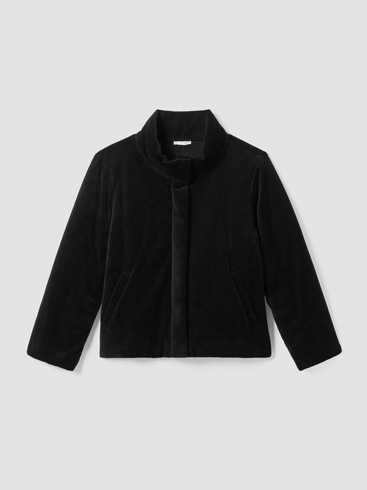 Cotton Velour Stand Collar Jacket