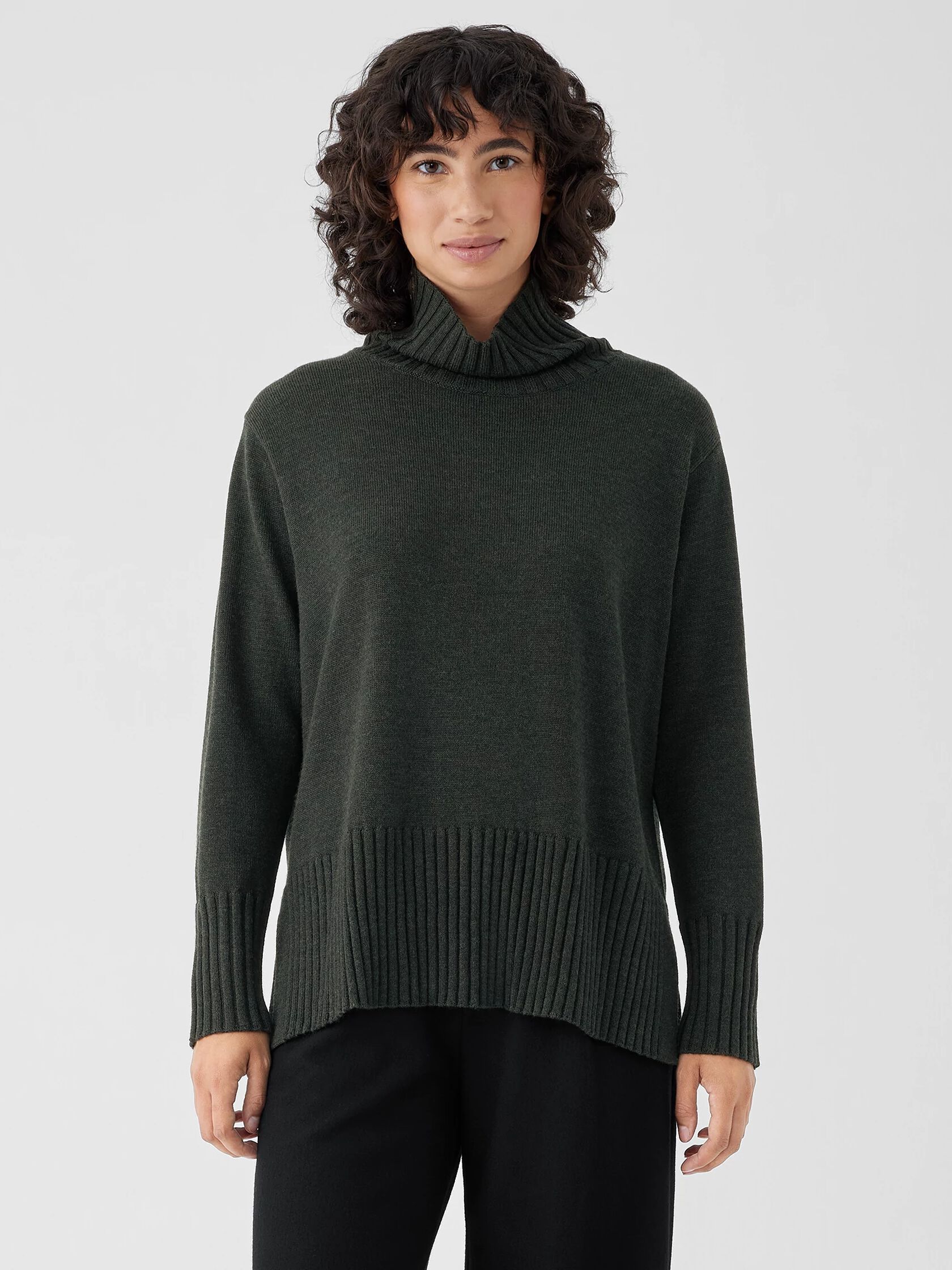 Merino Jersey Turtleneck in Regenerative Wool