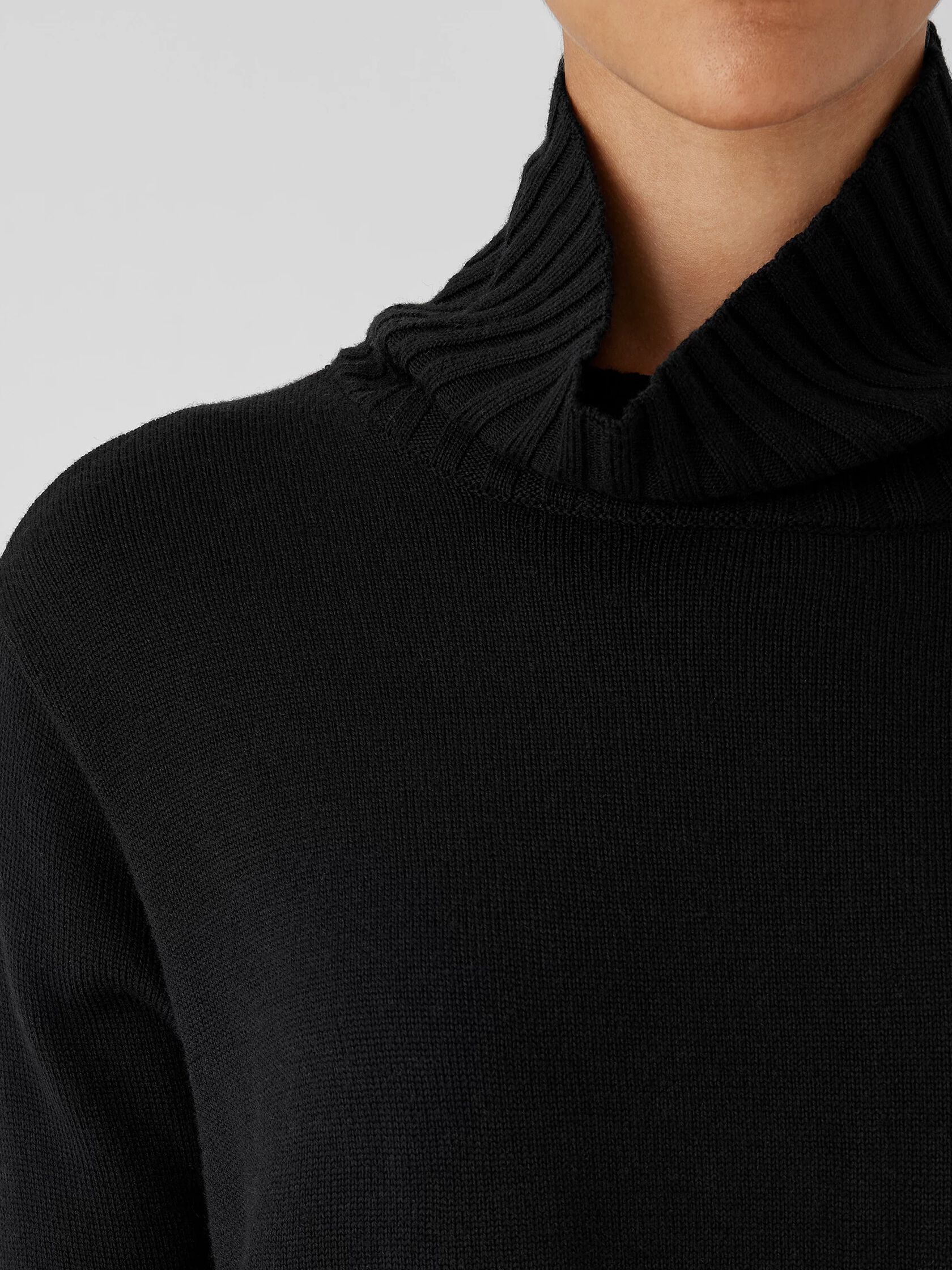 Merino Jersey Turtleneck in Regenerative Wool