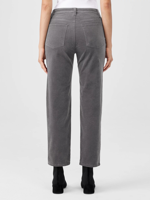 Organic Cotton Stretch Velveteen Pant