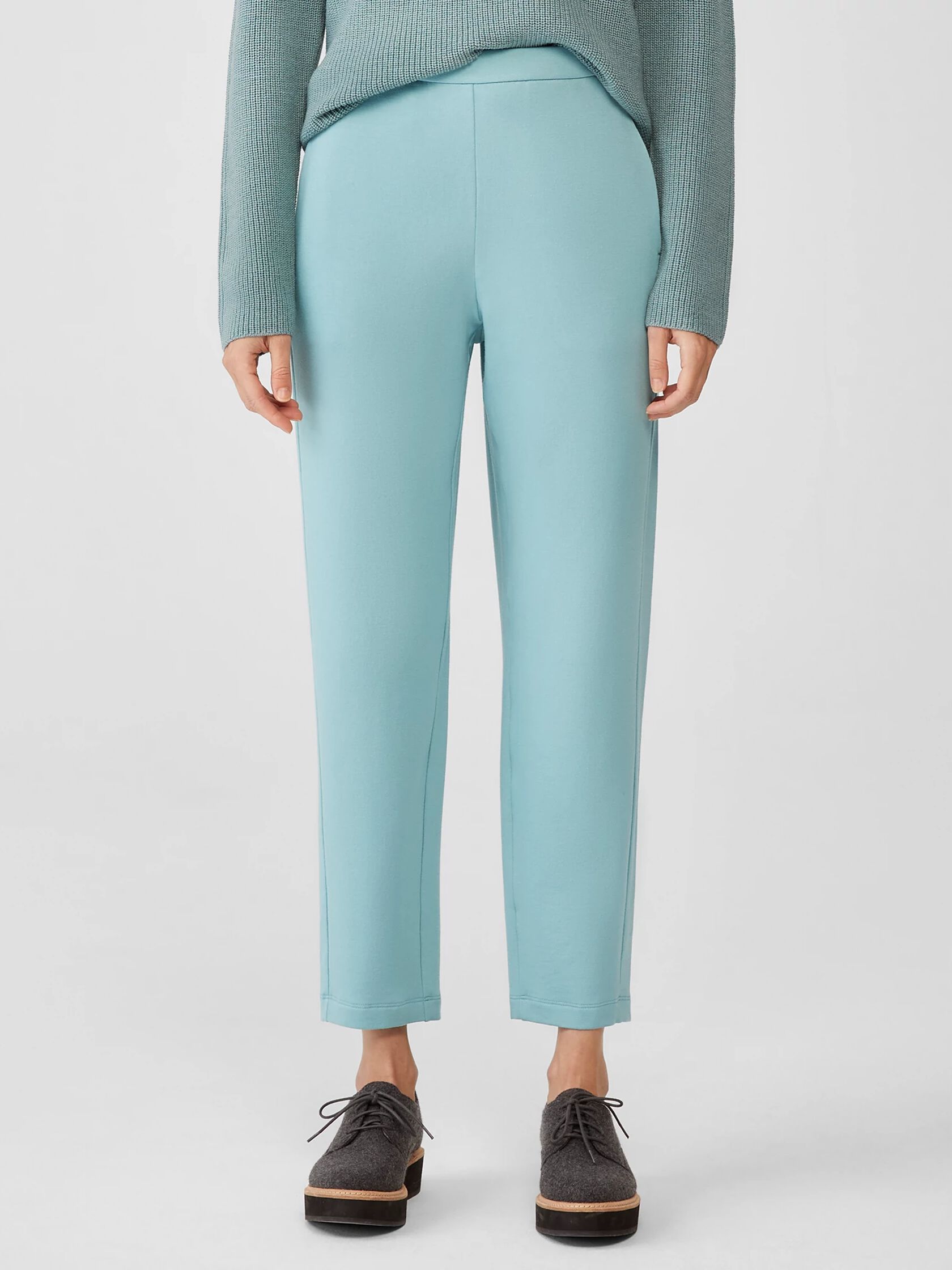 Cozy Brushed Terry Slouchy Pant